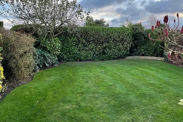 Autumn Treatments Norfolk