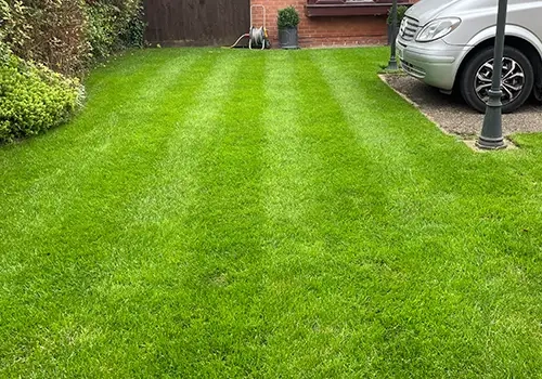 Lawn Treatment Programmes In Grimsby