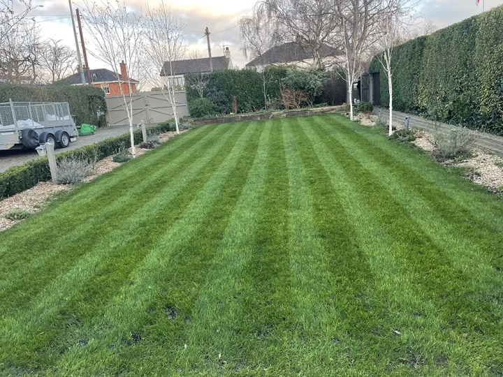 Lawn Renovation Grimsby