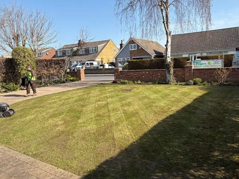 Lawn Restoration Hull