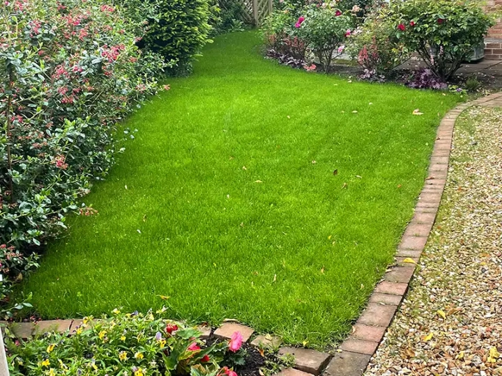 Lawn And Soil Optimisation