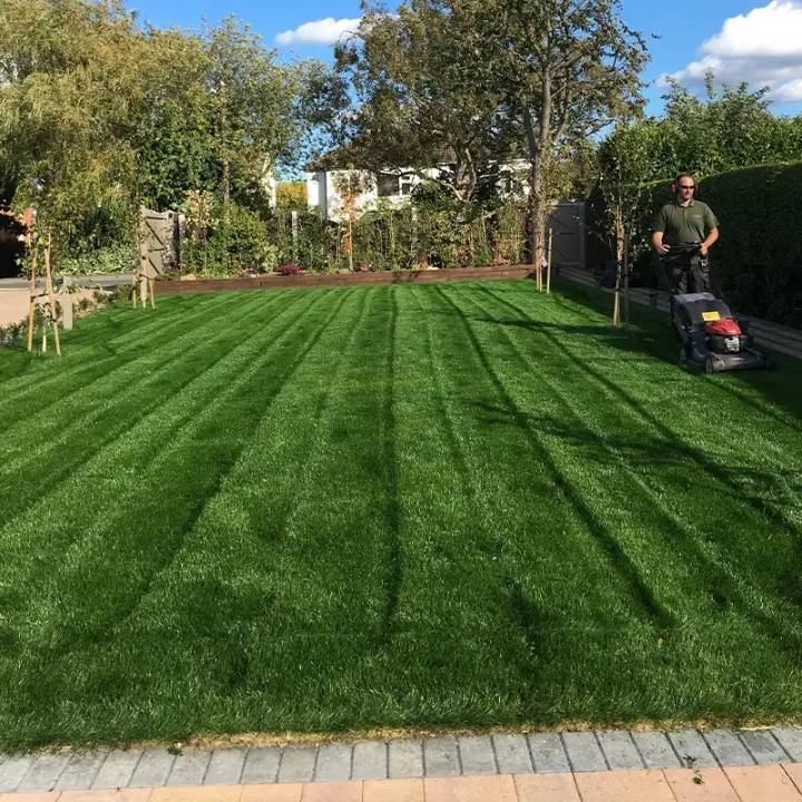Recommended Lawn Care Services Grimsby