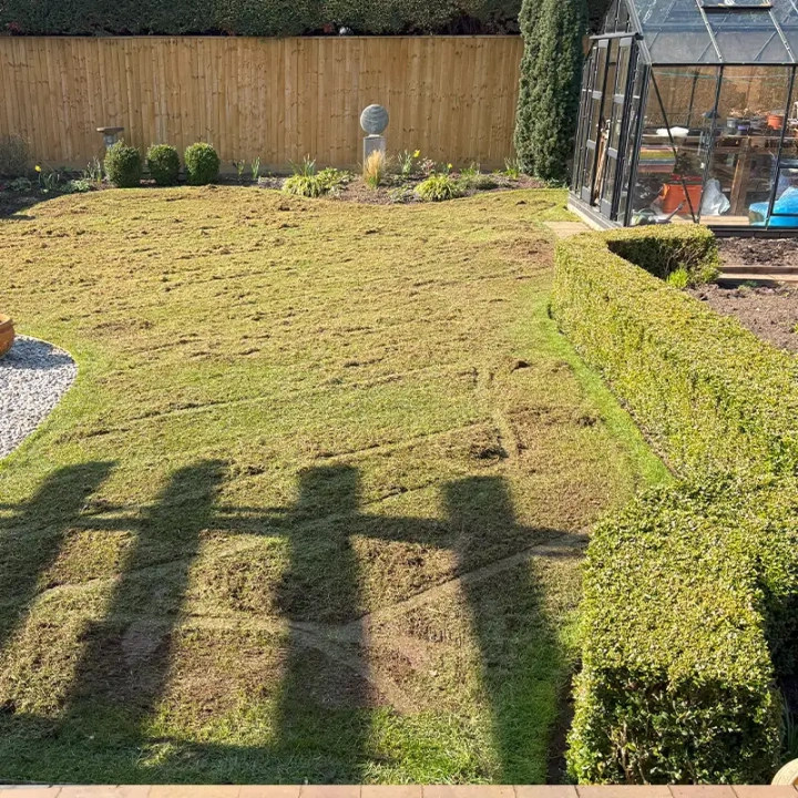 Before Scarification