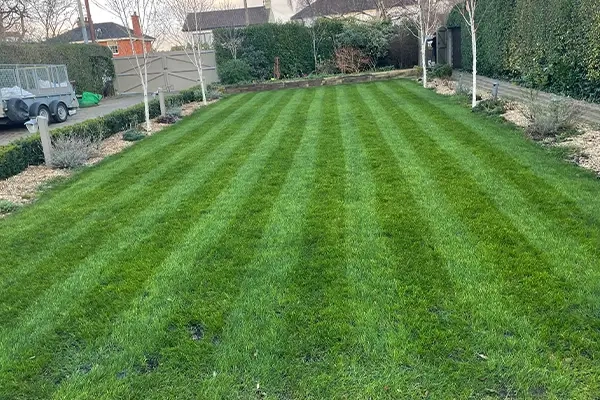 Spring Lawn Treatment Providers Lincoln
