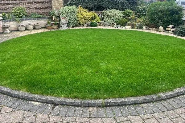 Weed Maintenance Lincolnshire