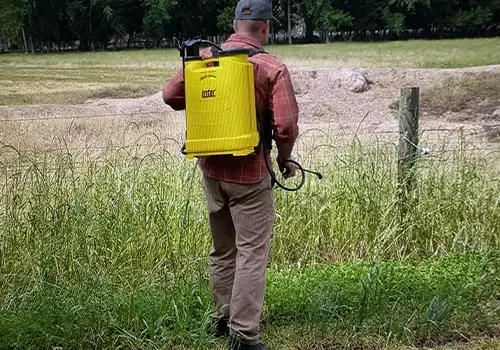 Weed Spraying For Driveways